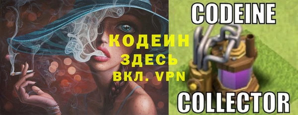 бошки Белокуриха