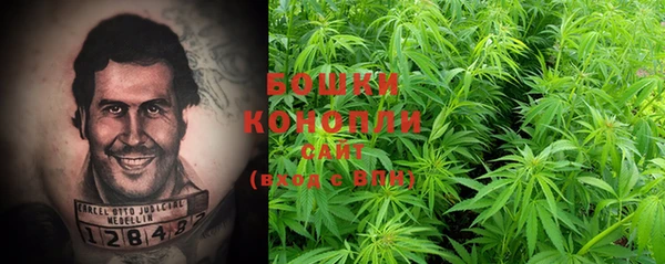 бошки Белокуриха
