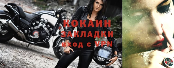 бошки Белокуриха