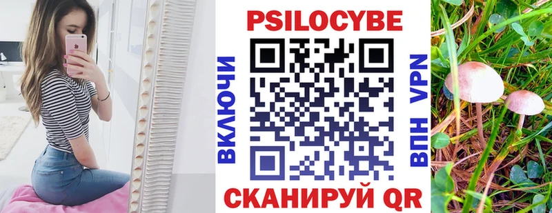 даркнет сайт  Воркута  Галлюциногенные грибы Magic Shrooms 